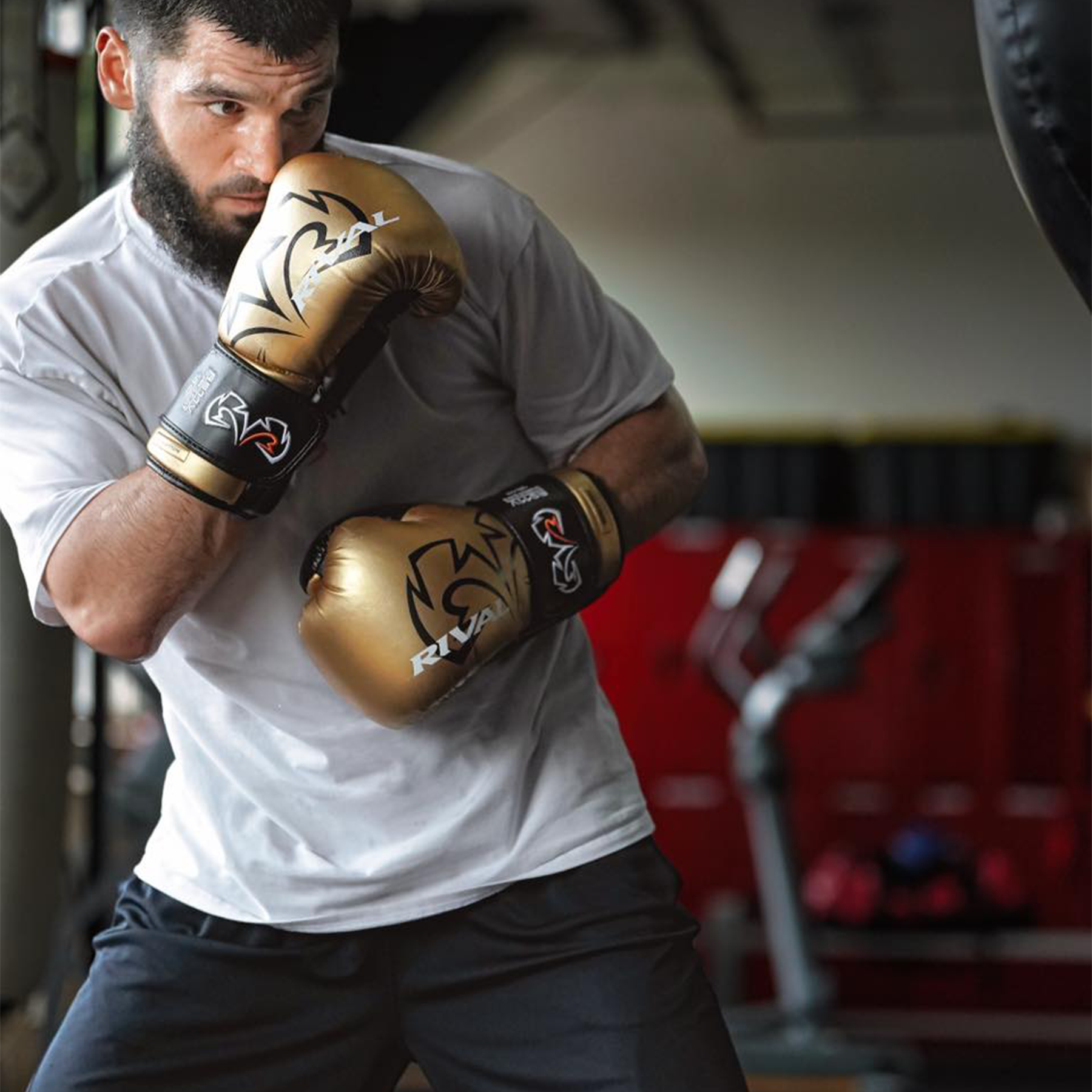 Rival sparring gloves hotsell